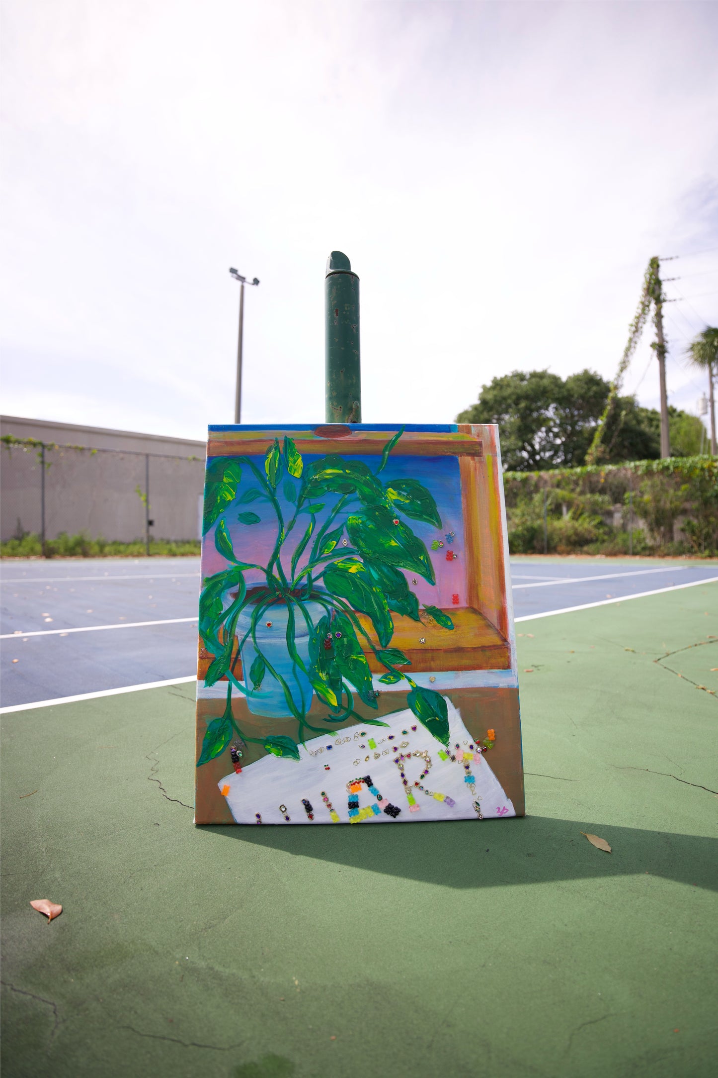 Cracks in the Window, Light on My Leaves